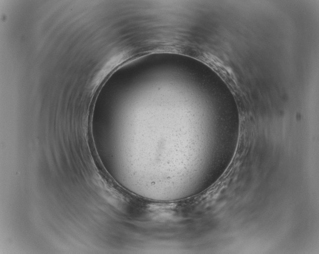 X0000088580051200706081133