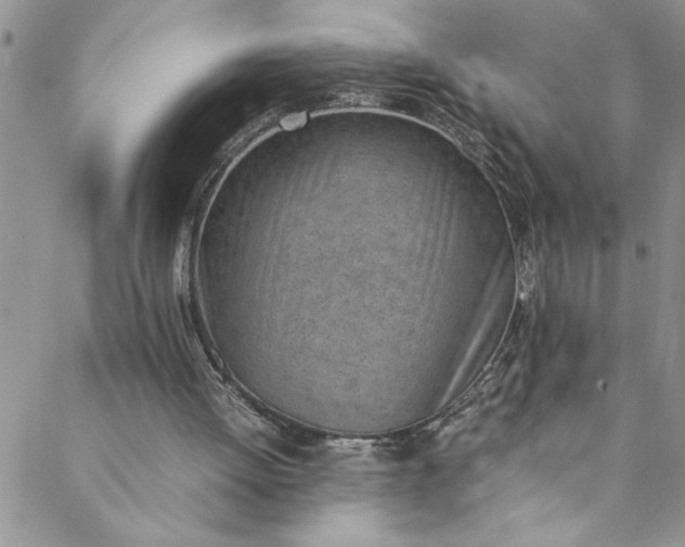 X0000088580052200706081133