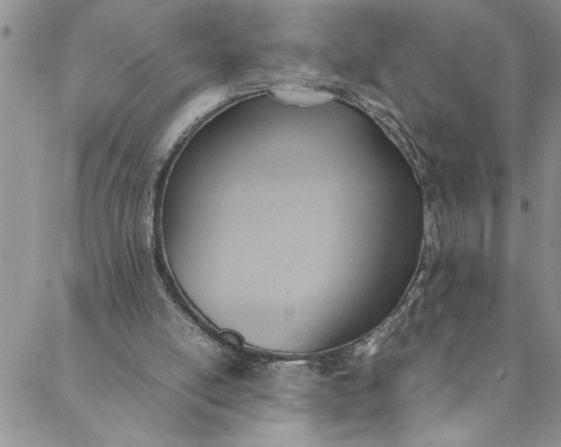 X0000088580054200706081133