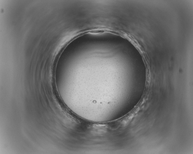 X0000088580055200706081133