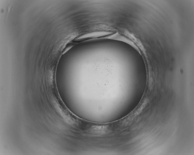 X0000088580057200706081133