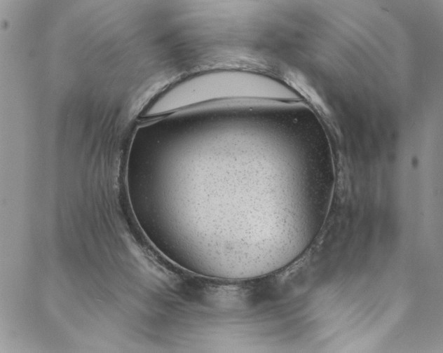 X0000088580058200706081133