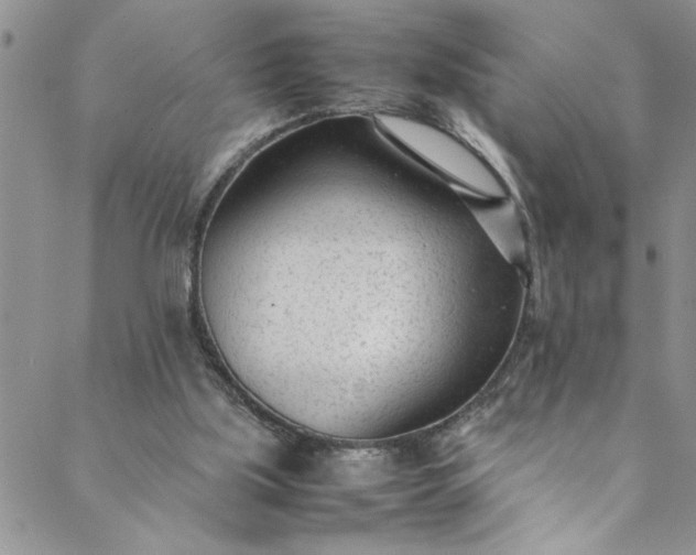 X0000088580059200706081133