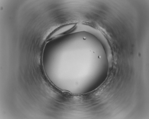 X0000088580060200706081133