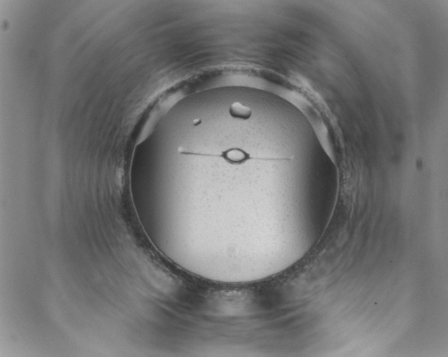 X0000088580063200706081133