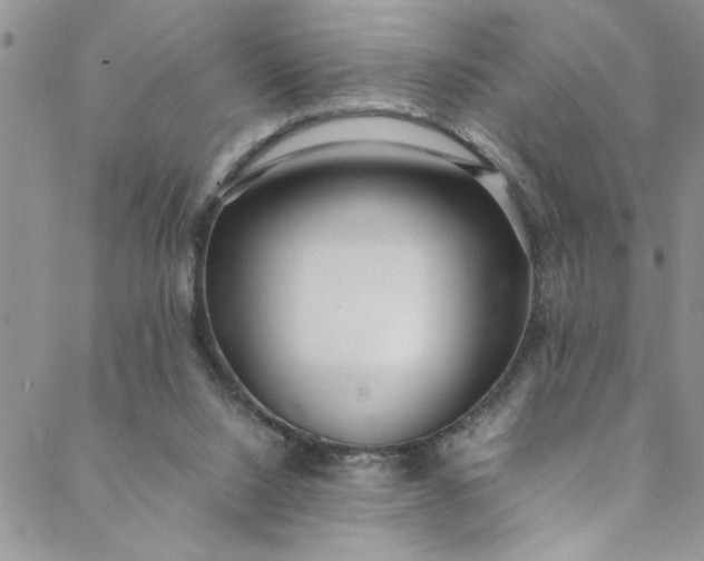 X0000088580064200706081133