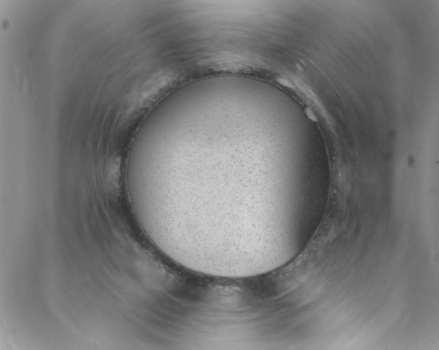 X0000088580066200706081133