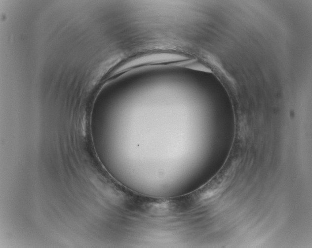 X0000088580068200706081133