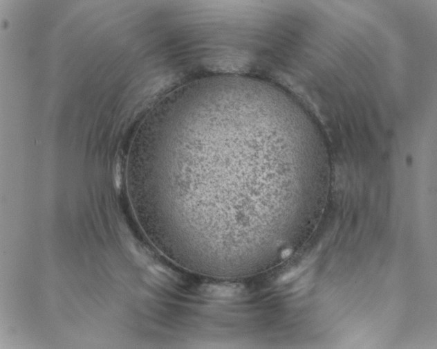 X0000088580069200706081133