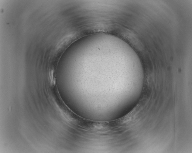 X0000088580070200706081133