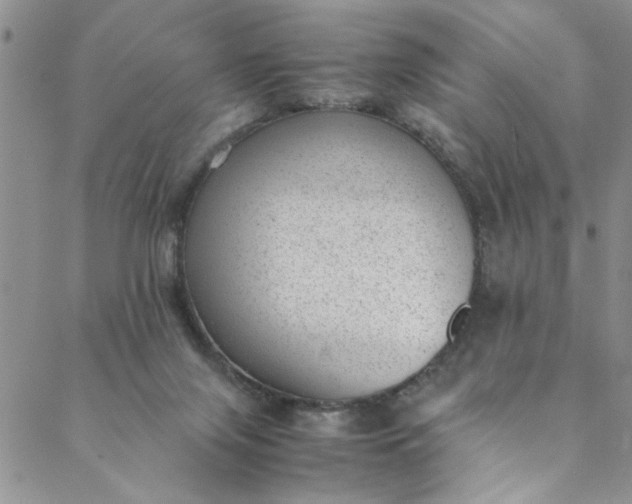 X0000088580071200706081133