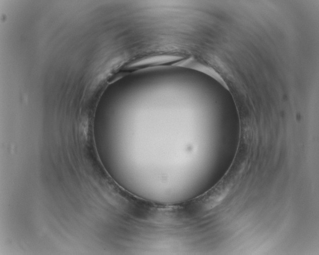 X0000088580072200706081133