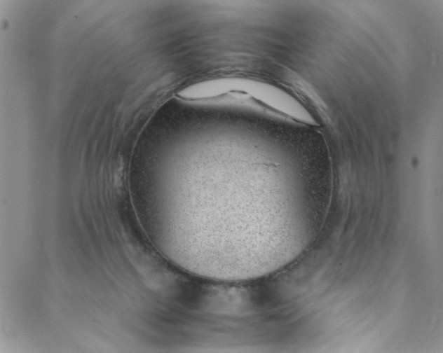 X0000088580073200706081133