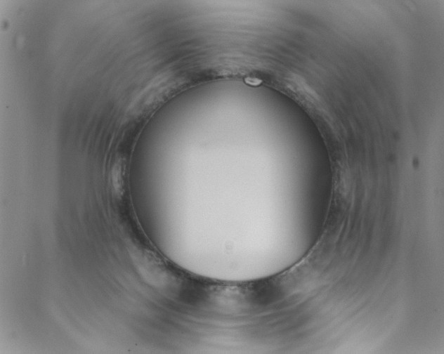 X0000088580074200706081133