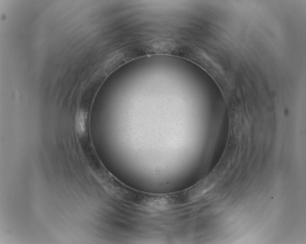 X0000088580075200706081133