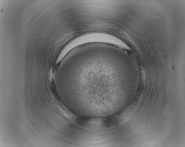 X0000088580076200706081133