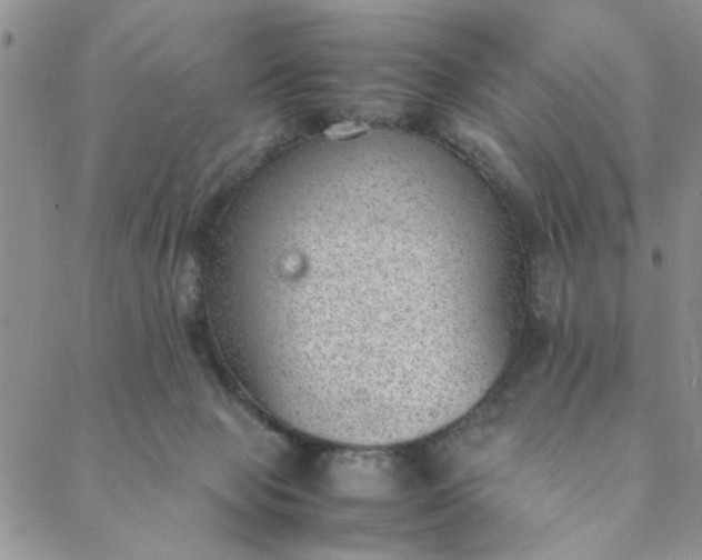 X0000088580077200706081133