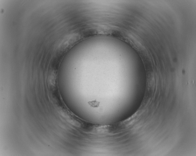 X0000088580078200706081133