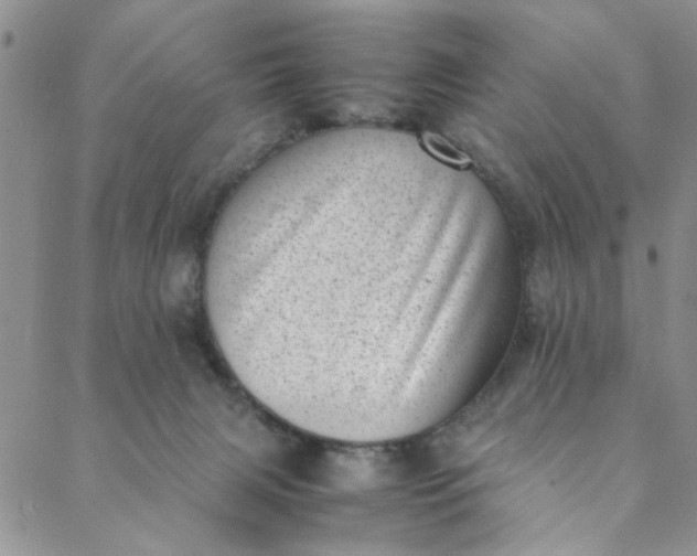 X0000088580079200706081133