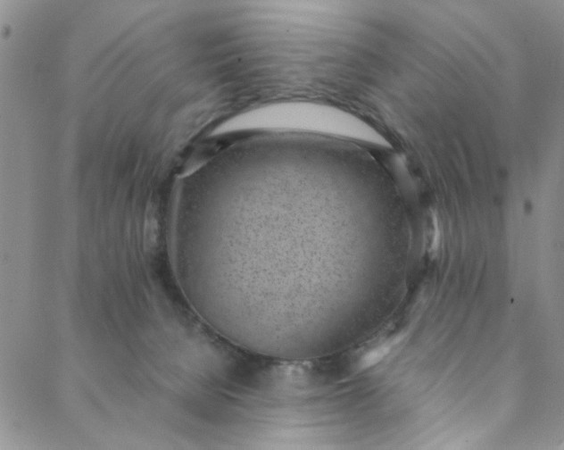 X0000088580080200706081133