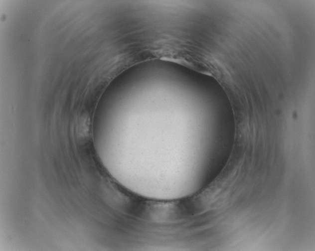 X0000088580081200706081133