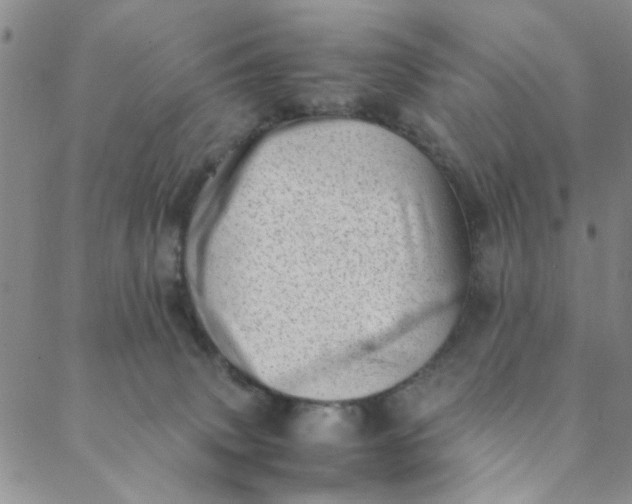 X0000088580083200706081133