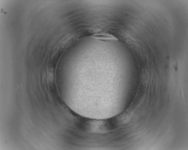 X0000088580085200706081133