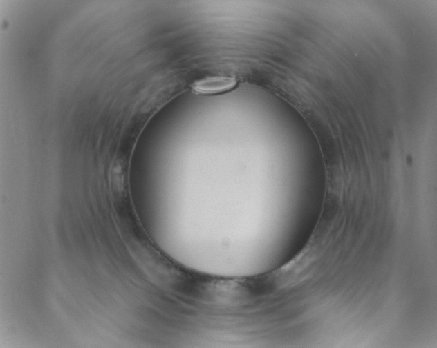 X0000088580086200706081133