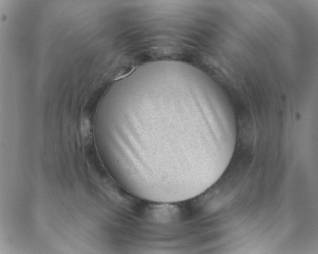 X0000088580087200706081133