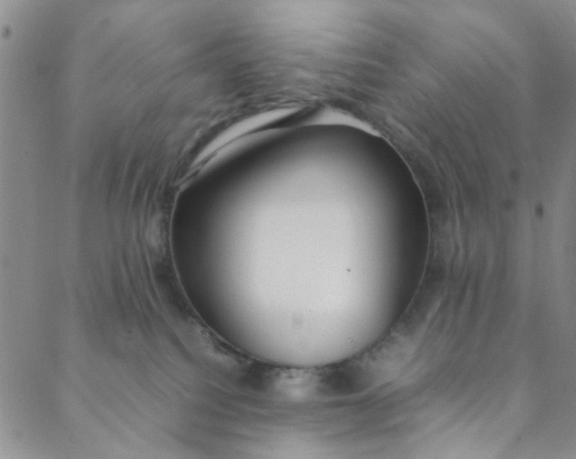 X0000088580088200706081133