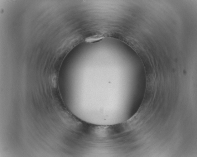 X0000088580090200706081133