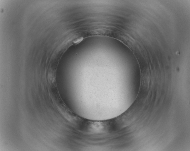 X0000088580091200706081134