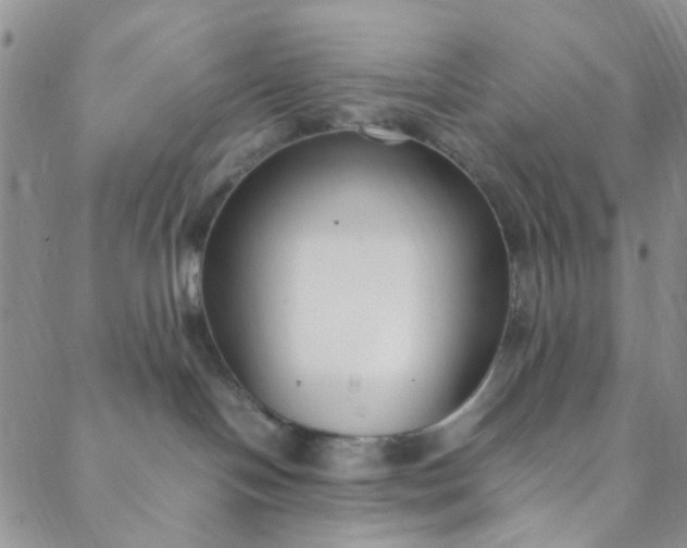 X0000088580094200706081134