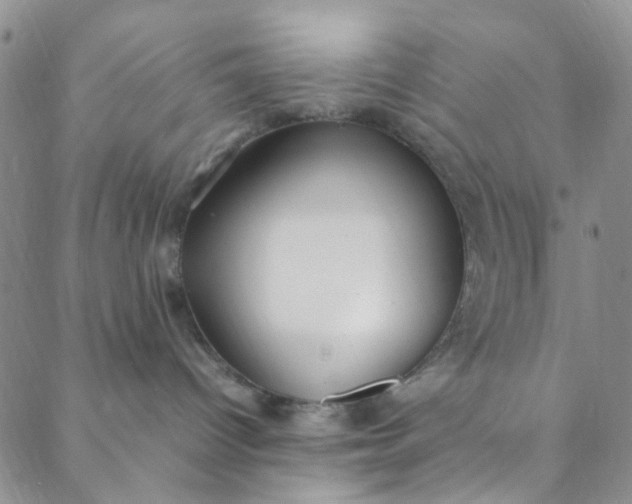 X0000088580096200706081134