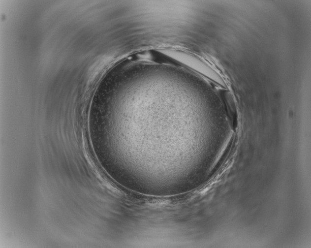 X0000088580097200706081133