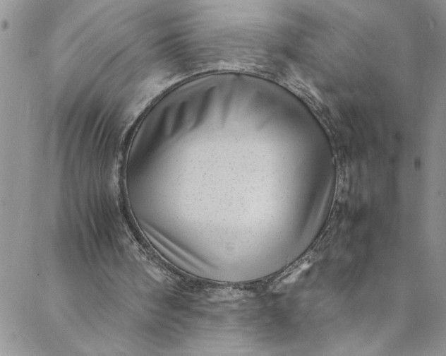 X0000088580098200706081133