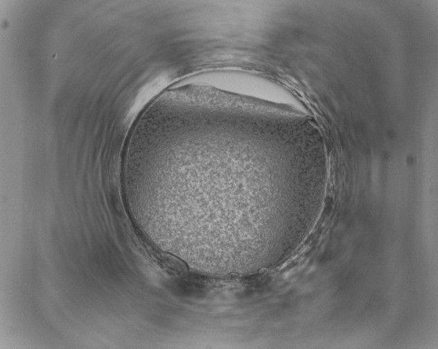 X0000088580099200706081133