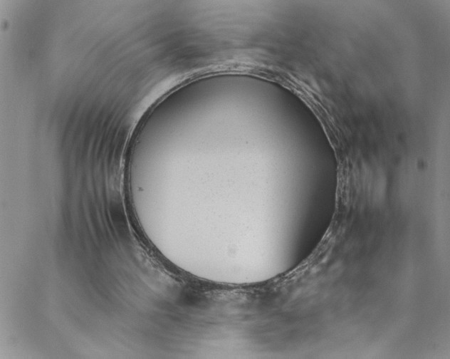 X0000088580100200706081133