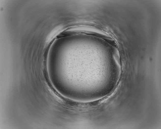 X0000088580101200706081133