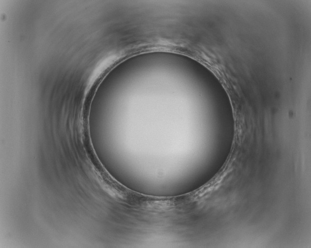 X0000088580102200706081133