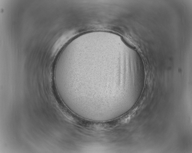 X0000088580103200706081133