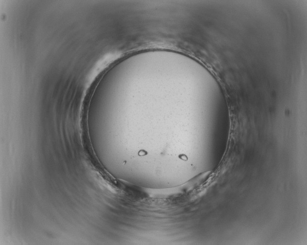 X0000088580104200706081133