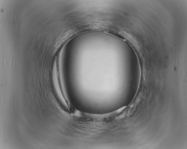 X0000088580105200706081133