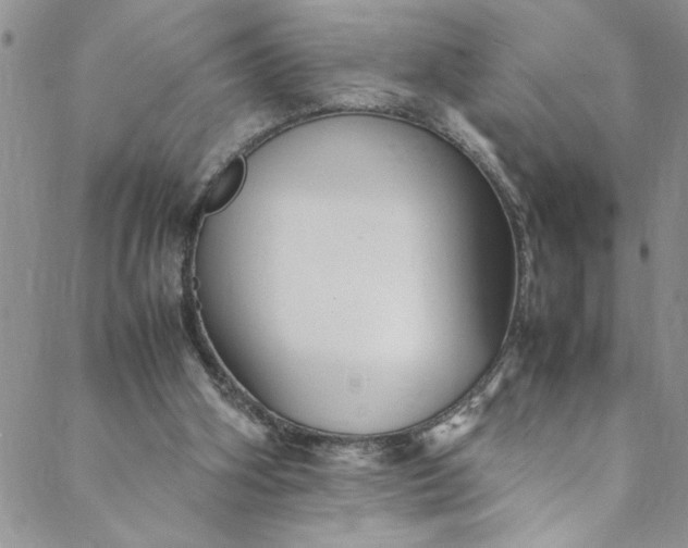 X0000088580106200706081133