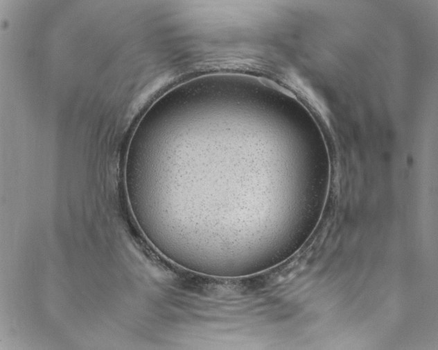 X0000088580107200706081133