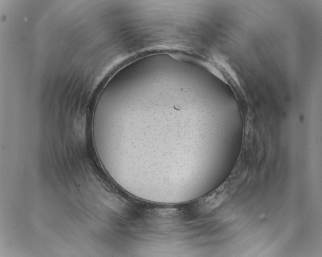 X0000088580108200706081133