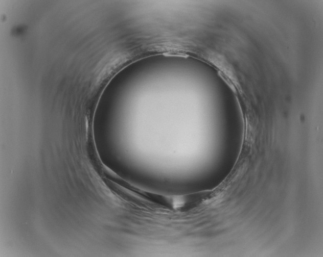 X0000088580109200706081133