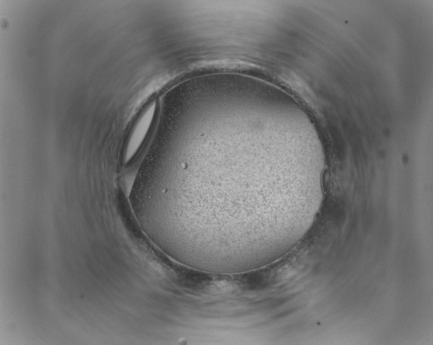 X0000088580111200706081133