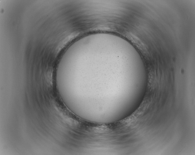 X0000088580112200706081133