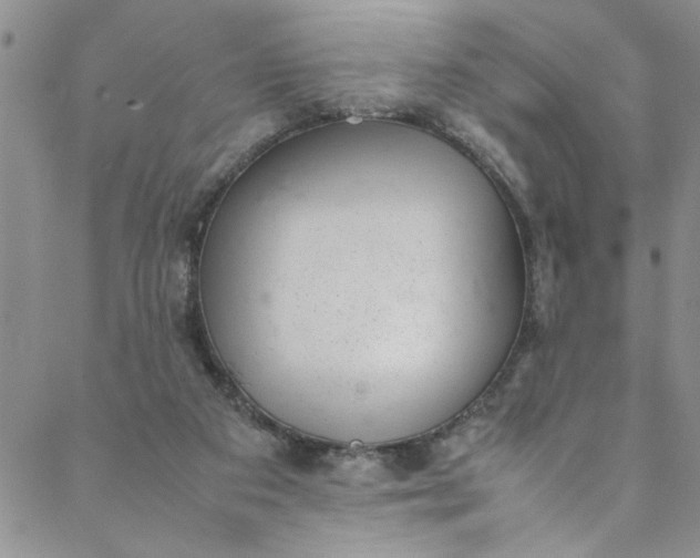 X0000088580113200706081133